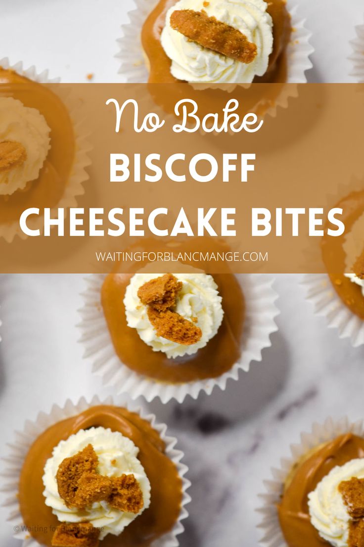 Mini biscoff cheesecakes. Cookie Butter Cheesecake Bites, No Bake Biscoff Cheesecake Cups, Biscoff Mini Cheesecake, Biscoff Bites, Mini Biscoff Cheesecake, Biscoff Cheesecake Cups, No Bake Biscoff Cheesecake, No Bake Biscoff, Cookie Butter Cheesecake