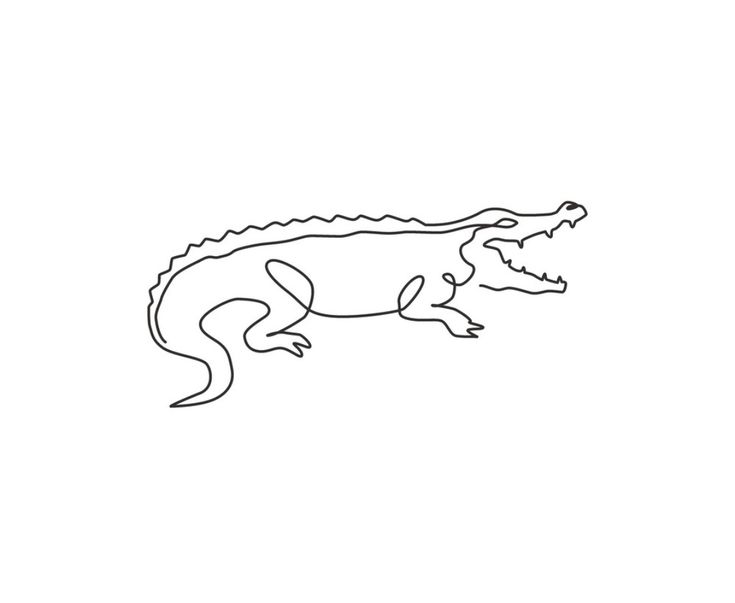 the outline of an alligator on a white background