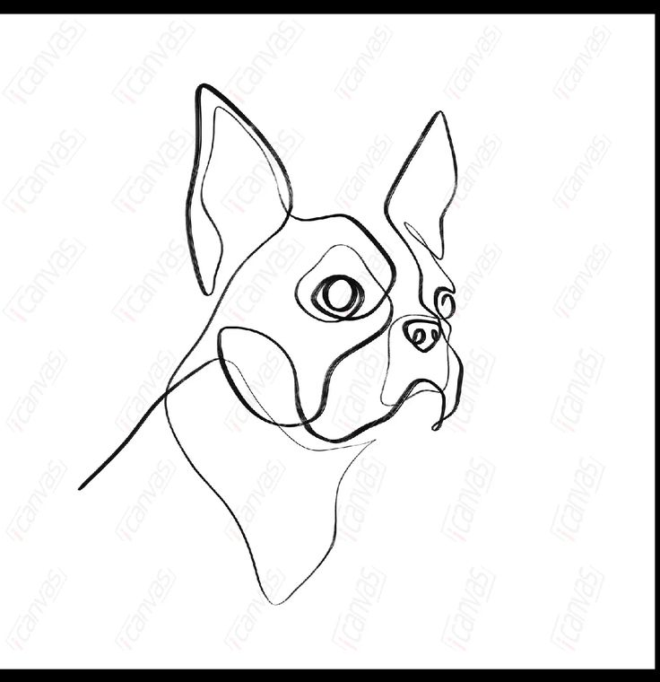 a black and white drawing of a dog's face