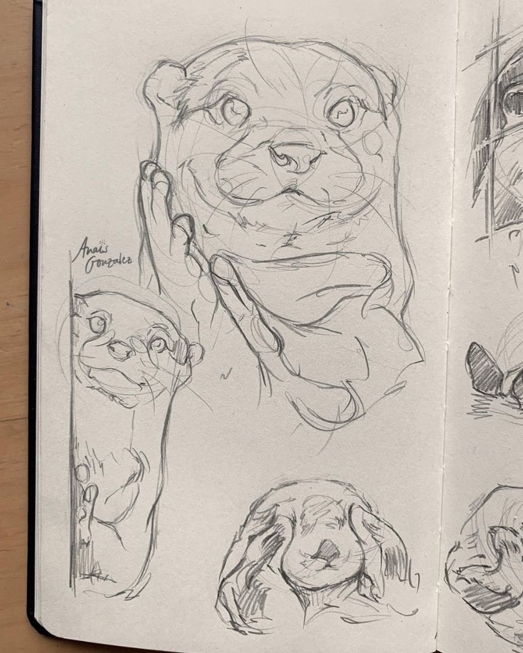 an open sketch book with drawings of animals