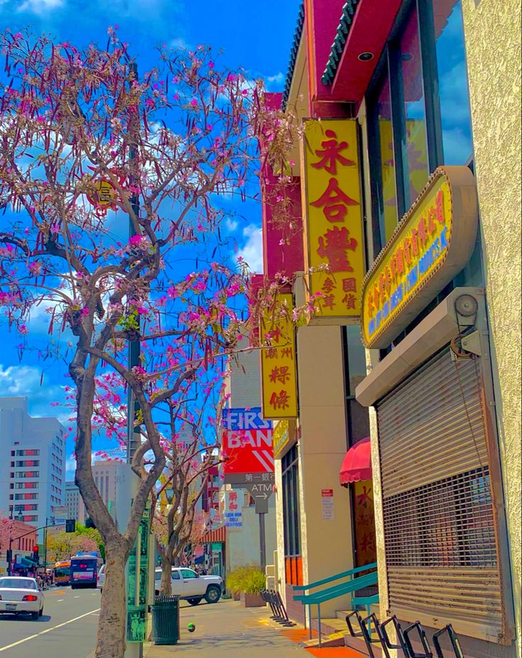 a tree with pink flowers in front of a chinese restaurant on the side of a street