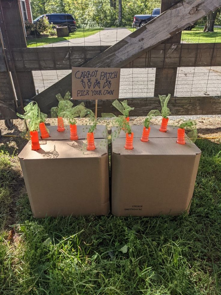 carrots growing out of boxes on the grass in front of a sign that says carrot patch