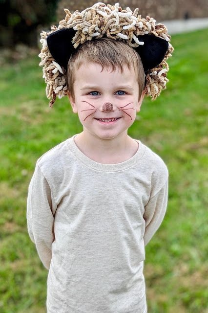 a young boy wearing a cat costume with fake ears