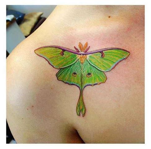 a green moth tattoo on the back of a woman's shoulder