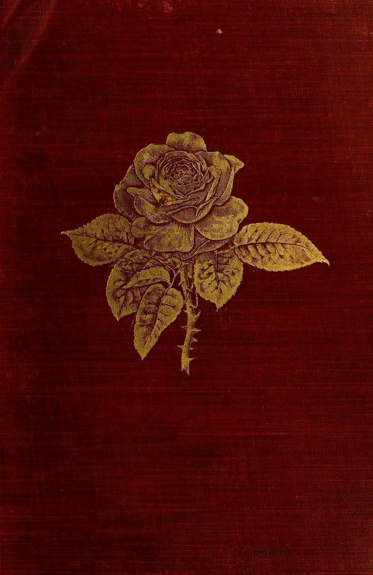 an old book with a rose on it