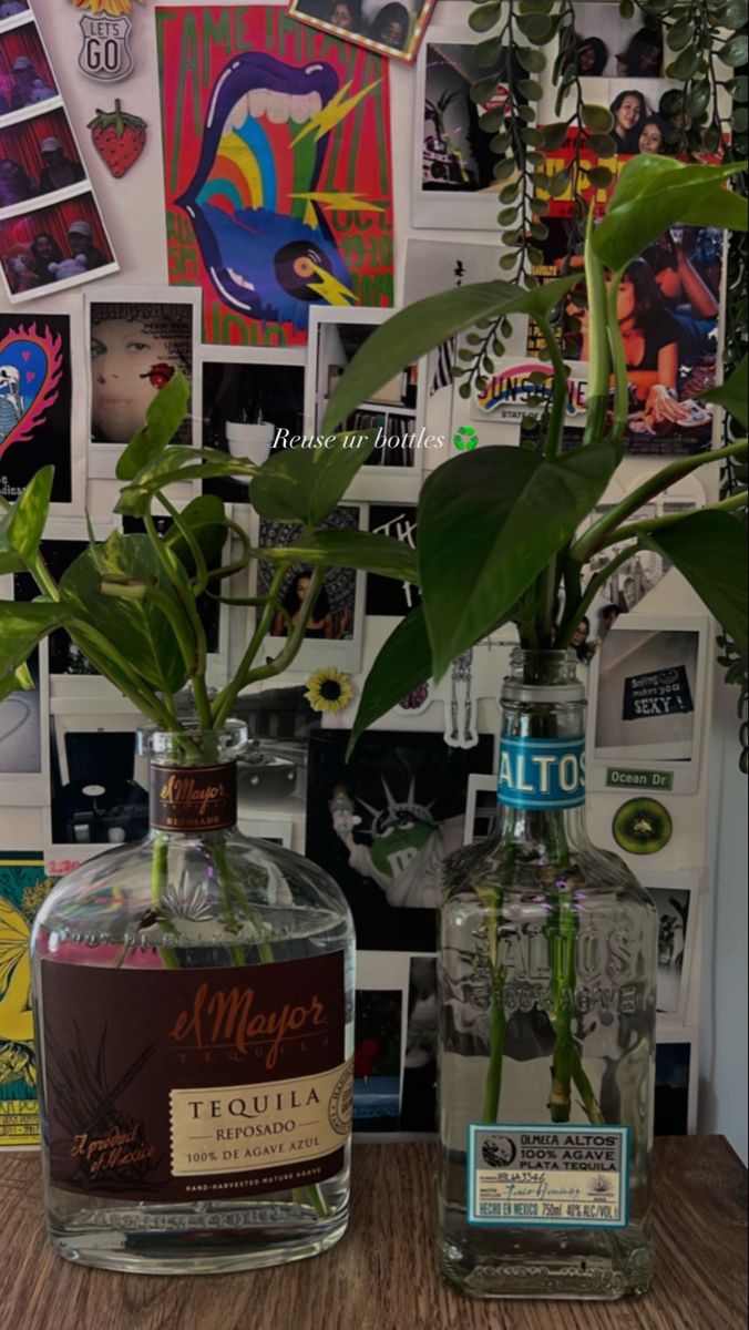 two vases with plants in them sitting on a table next to a wall full of pictures