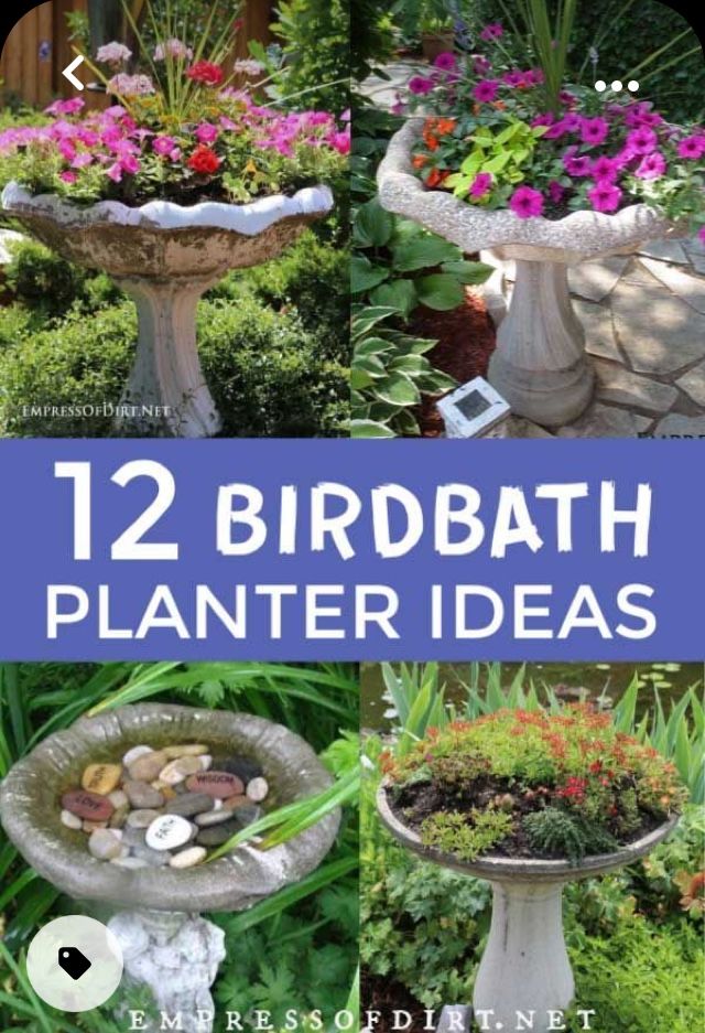 several birdbath planters with flowers in them and the words, 12 birdbath planter ideas