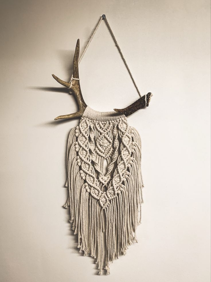 a deer's antler hangs on the wall