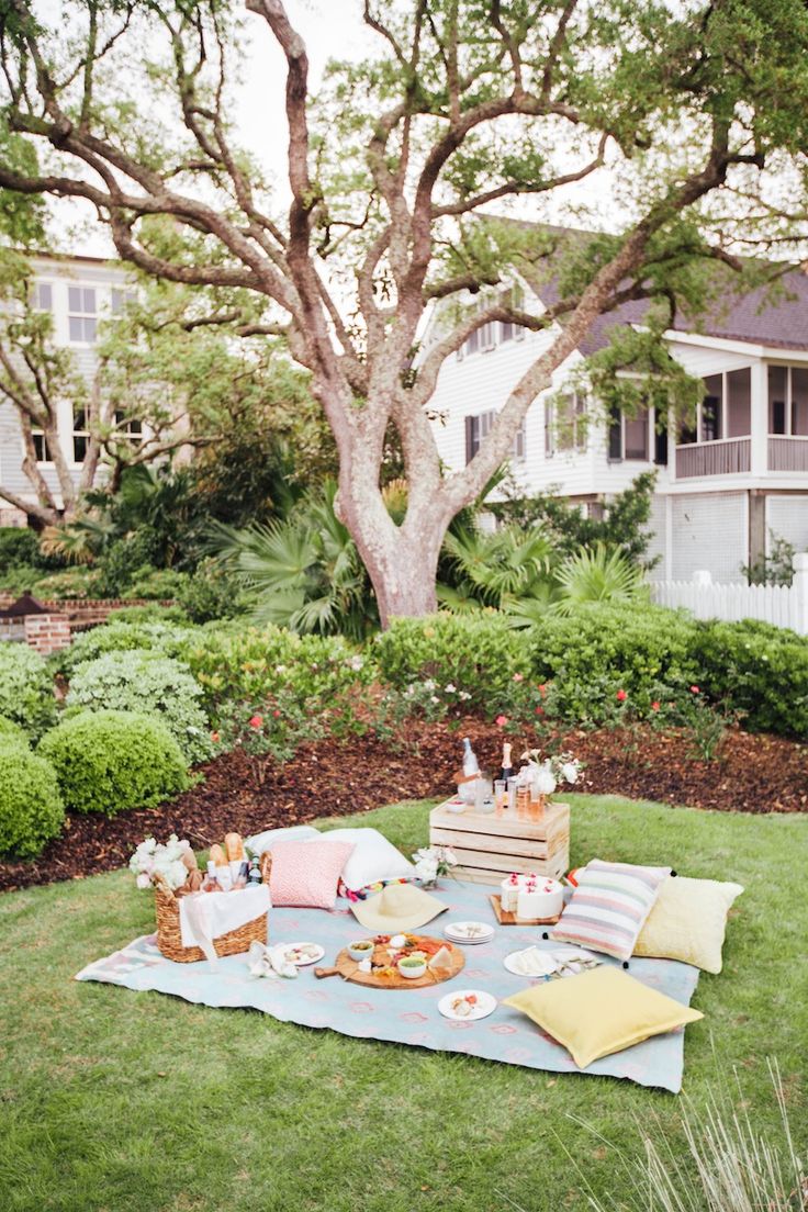 an outdoor picnic with food and drinks on the grass in front of a large tree