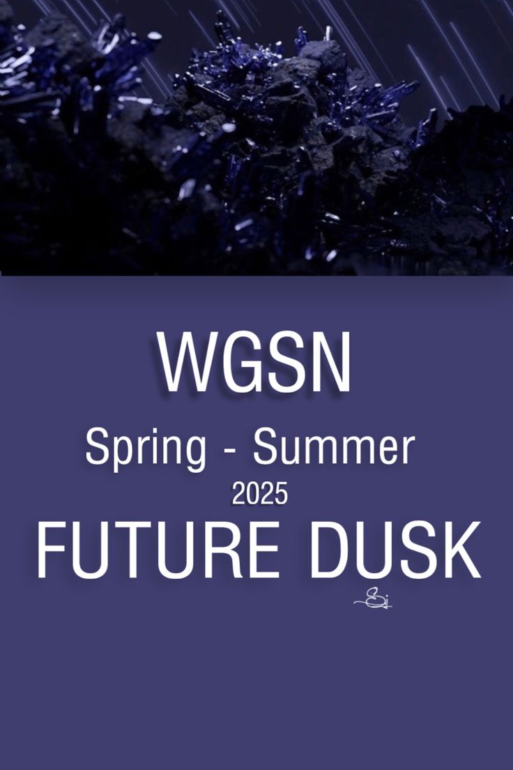 the cover of wgsn's spring - summer 2012 future disk, with rain falling