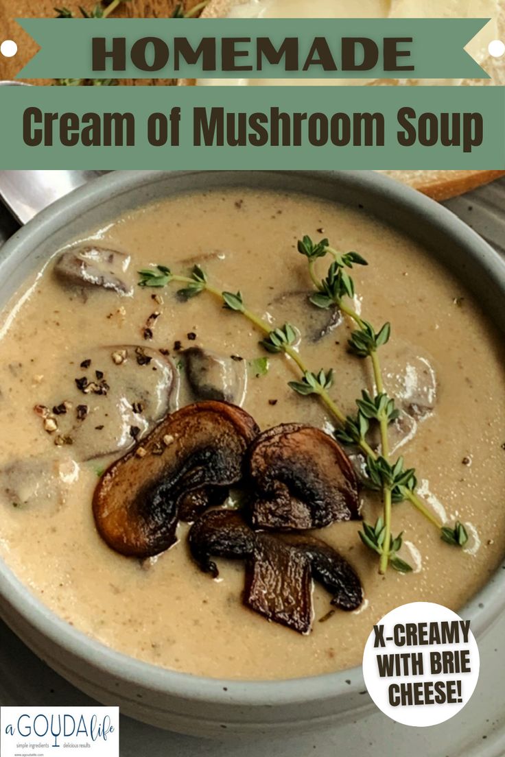 a bowl filled with cream of mushroom soup