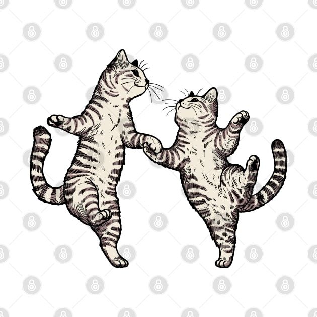 two cats playing with each other on a white background