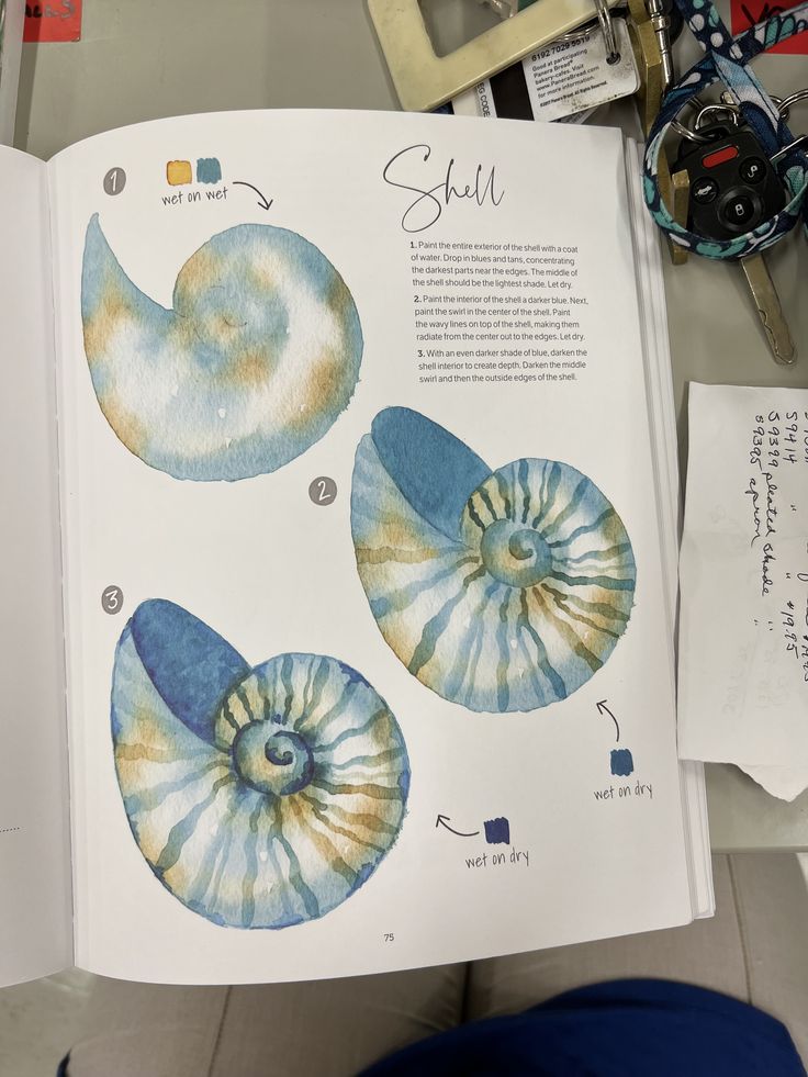 an open book with pictures of seashells on it