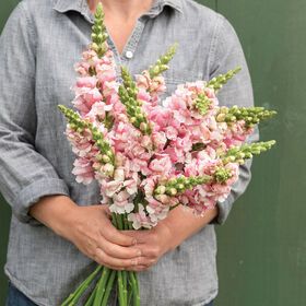 a man holding a bouquet of pink and white flowers in front of a green wall