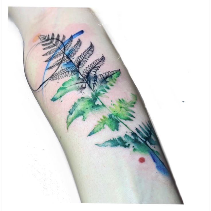 a fern leaf tattoo on the left arm and right arm with watercolor paint splatters