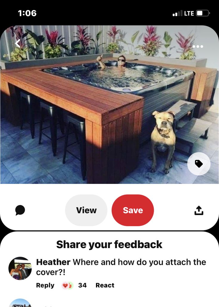 the dog is standing in front of the hot tub on the table and looking at it