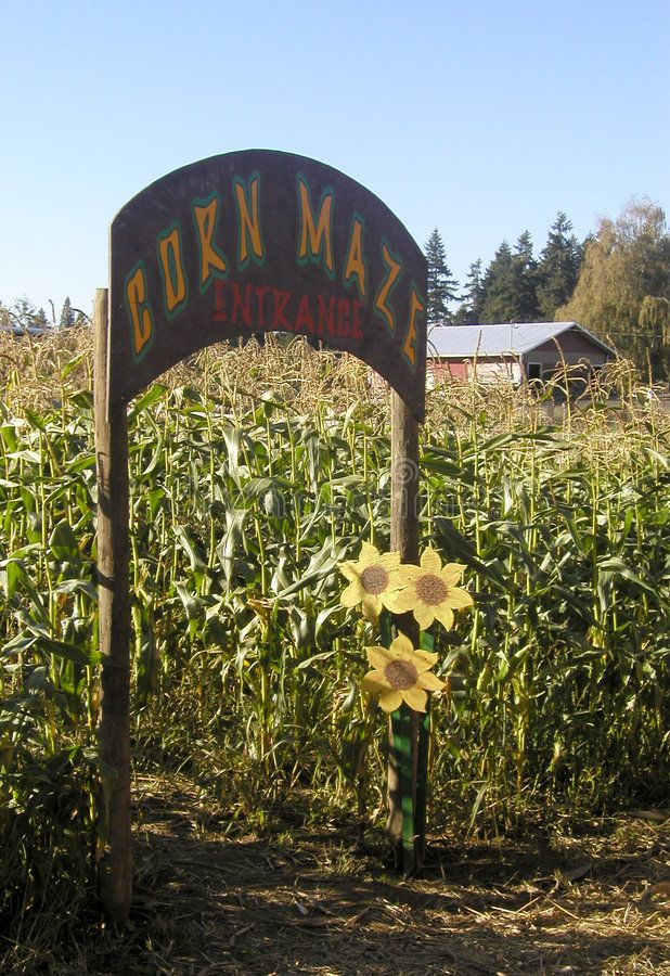 a corn maze entrance sign in the middle of an open field with sunflowers