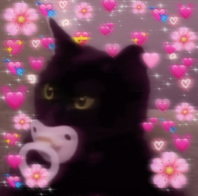 a black cat holding a pacifier in its mouth with hearts and flowers behind it