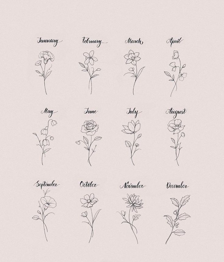 the different types of flowers are shown in black and white