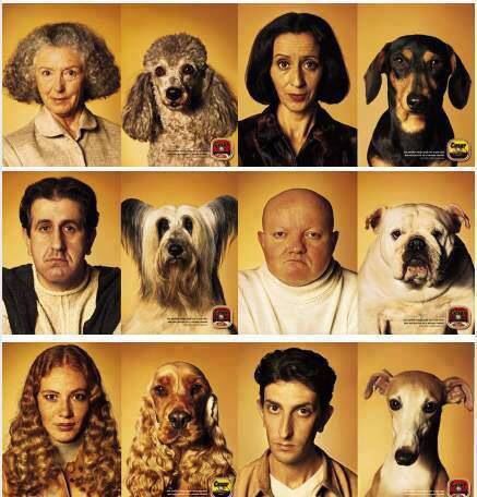 many different pictures of people and dogs with their heads turned to look like they are looking at the same person