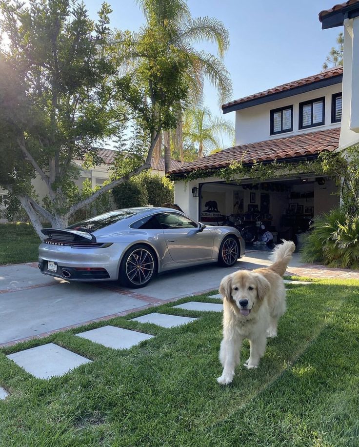 a dog standing in the grass next to a silver sports car and a house with palm trees