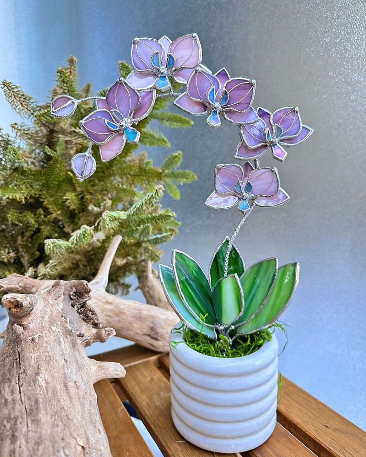 a potted plant with purple flowers sitting on a wooden table next to driftwood