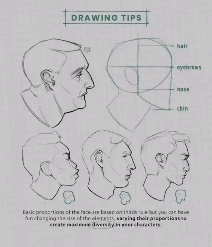 drawing tips for the face and head, with instructions to learn how to draw it