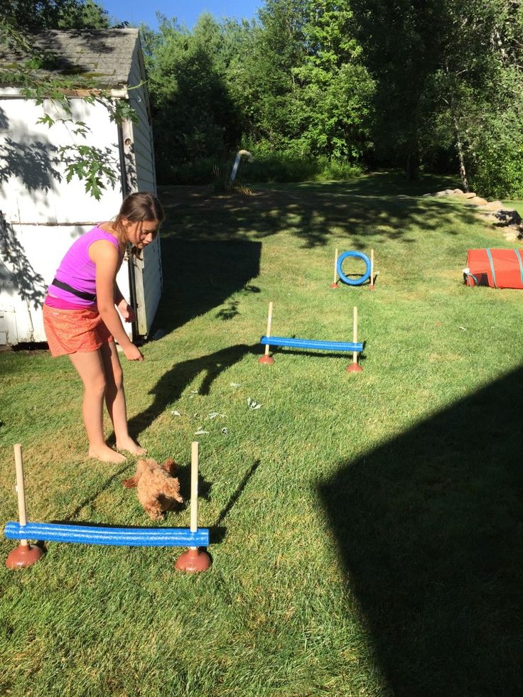 Dollar Store Agility Equipment - Liberty Hill House Small Dog Agility Course Diy, Homemade Agility Course For Dogs, Diy Dog Obstacle Course, Dog Agility Diy, Dog Agility Course Diy, Dog Agility Course, Dog Backyard, Dog Training Equipment, Dog Equipment