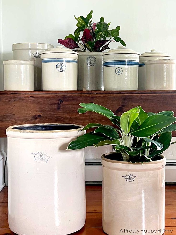 two planters sitting on top of a wooden shelf next to other pots and containers