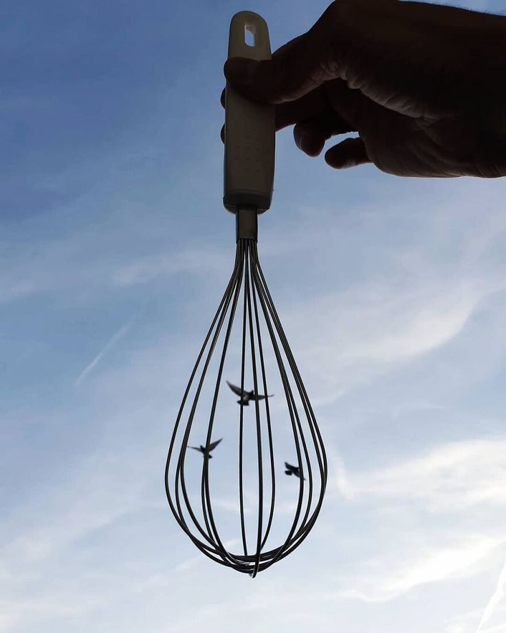 a hand holding a wire whisk with four birds on it in the sky