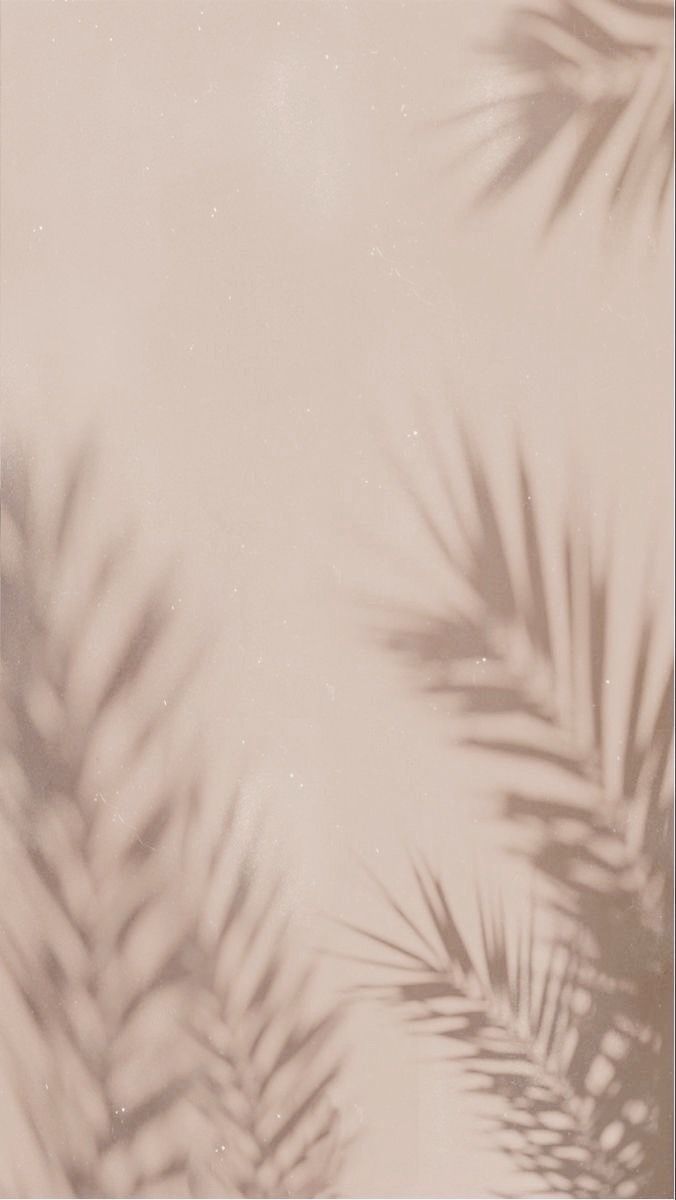 the shadow of palm leaves on a beige and white background is seen in this image