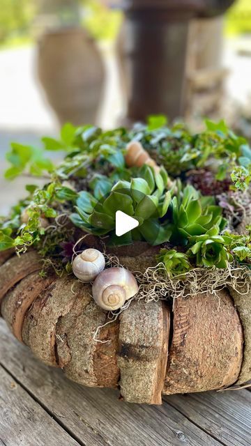 a planter made out of logs with plants on top