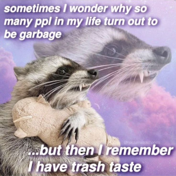 a raccoon holding a stuffed animal in it's arms with the caption, sometimes i wonder why so many people may put my life turn out to be garbage