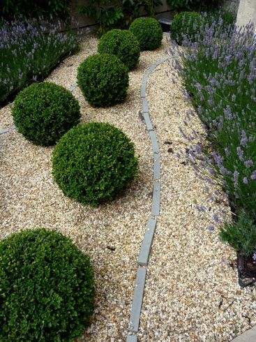 a garden with various plants and rocks in it