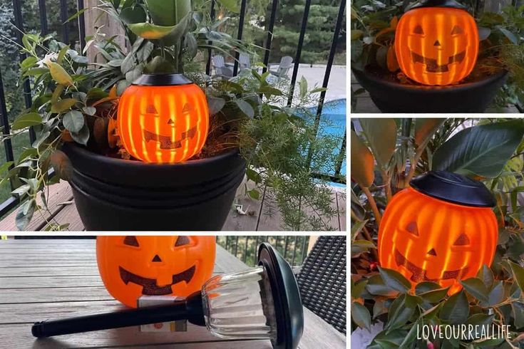 an orange pumpkin lantern sitting on top of a potted plant