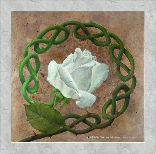 a painting of a white rose surrounded by green leaves