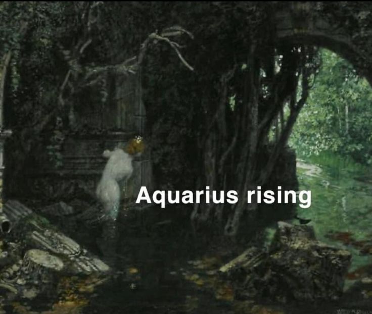 the words aquarius rising are in front of a painting