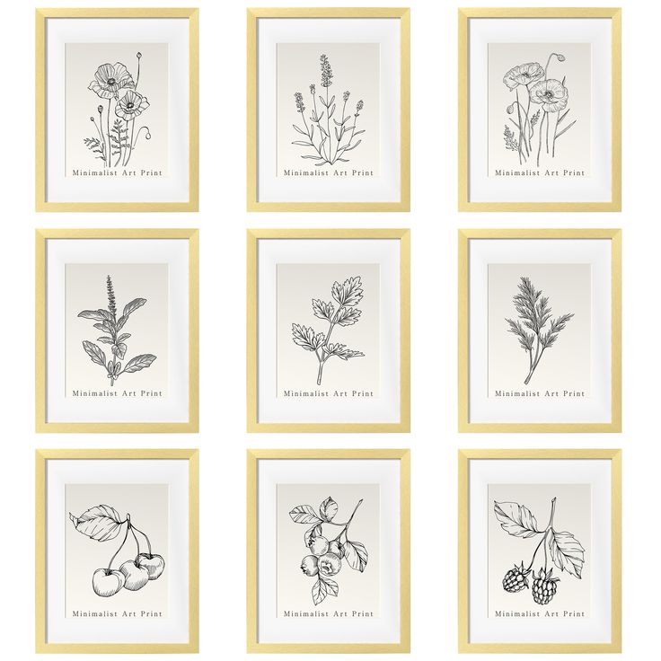 six framed botanical prints in yellow frames on a white background, each with different flowers and leaves