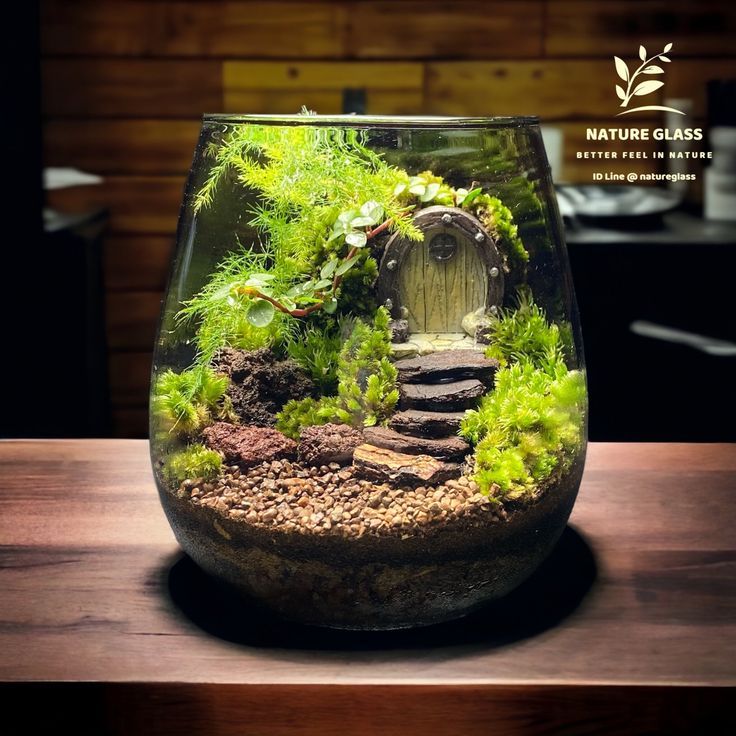 an aquarium filled with plants and rocks on top of a wooden table next to a wall