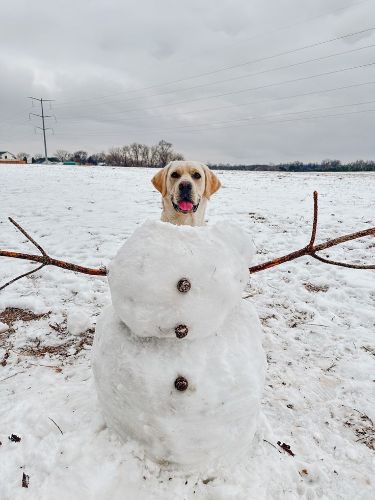 a dog standing next to a snowman in the middle of a field with it's tongue sticking out