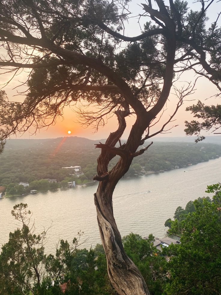 the sun is setting behind a tree on top of a hill over looking a body of water