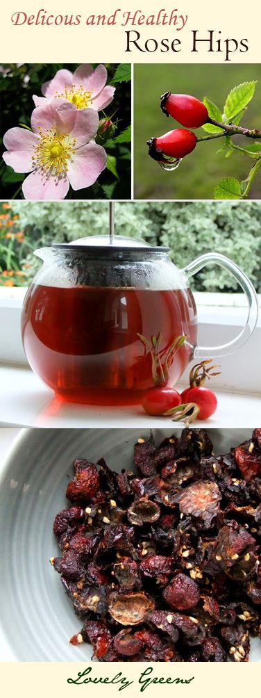 various pictures of flowers and tea with the words delicious and healthy rose hips