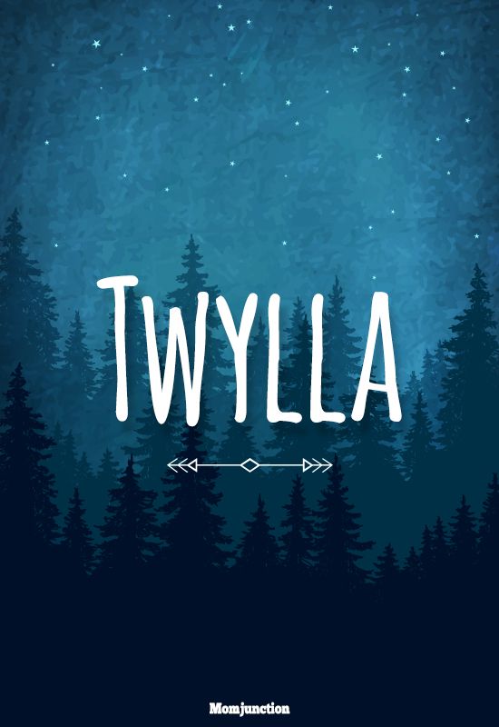 the word twylla written in white on a dark blue background with trees and stars