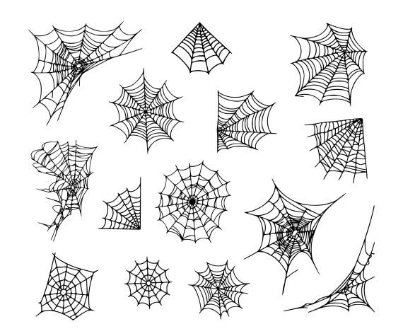 spider webs and cobwes are drawn in black ink on a white background