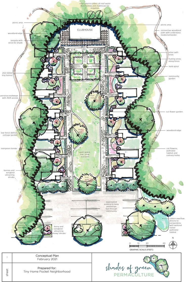 a drawing of a garden with lots of trees and plants in it, including the ground plan