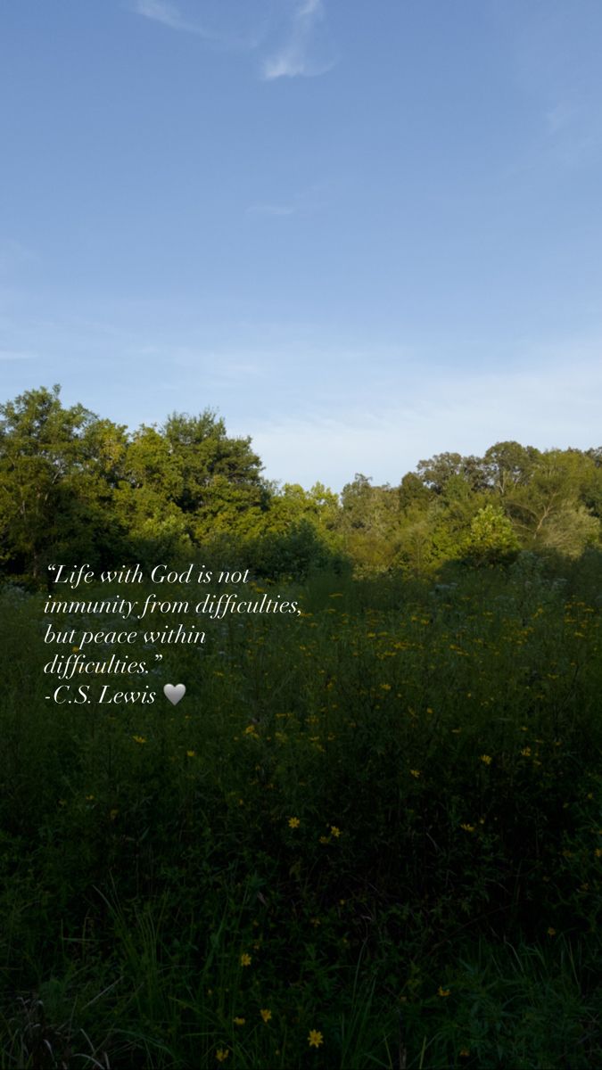 a field full of green grass and trees with a quote on it that says life is not