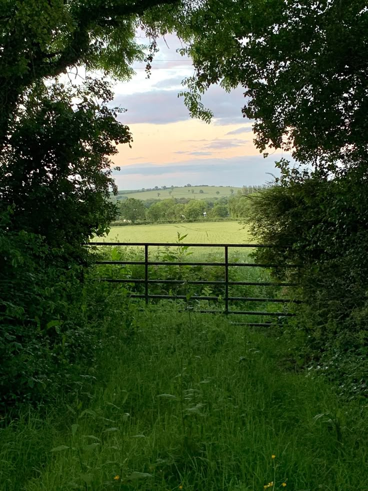 an open gate leading to a lush green field