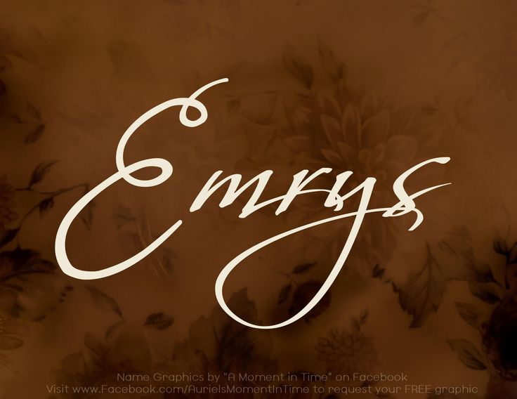 the word enfys written in cursive writing on a brown floral background