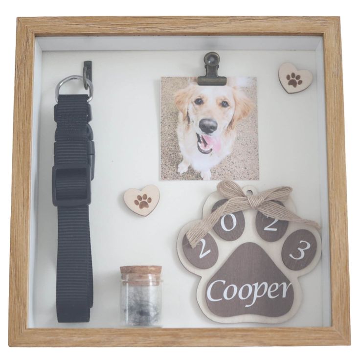 a dog's paw, name tag and other items are displayed in a shadow box