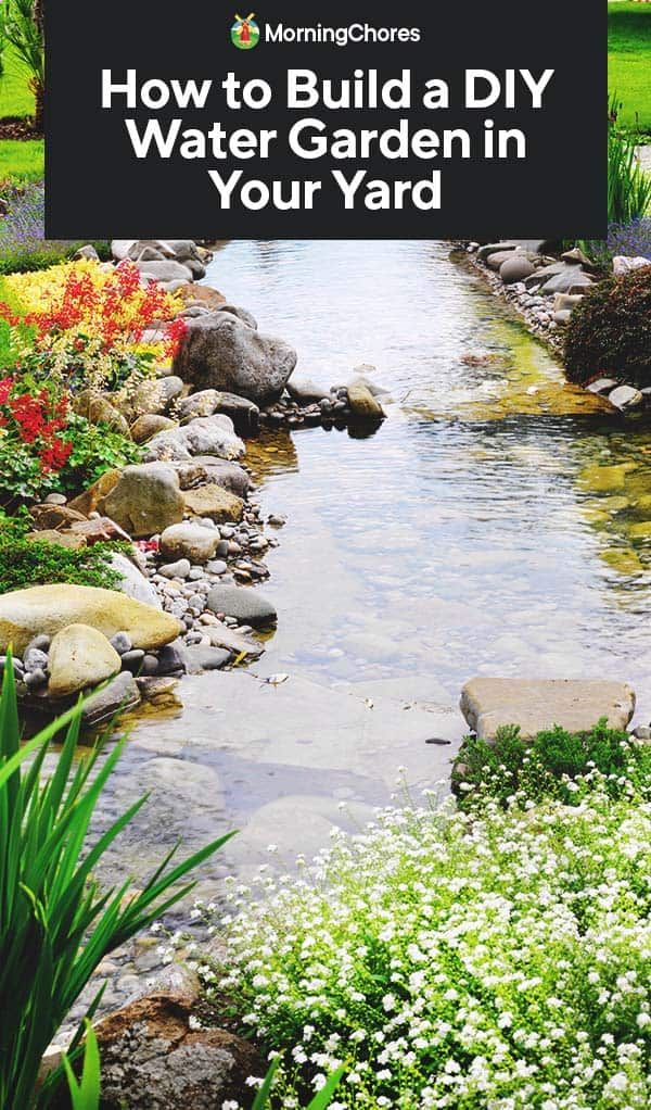 how to build a diy water garden in your yard